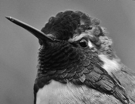 hummingbird_restored_tviso_constr.gif