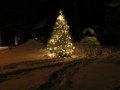IMG_6846 