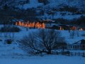 IMG_7539-cropped