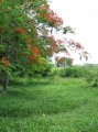 naturaleza