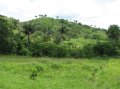 IMG_0650 