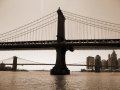 IMG_9655-5 