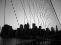 IMG_9752-5 