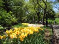 IMG_9852-2 