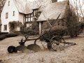 IMG_8825-4 