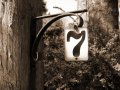 IMG_9571-2 