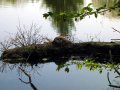 IMG_9632-2 