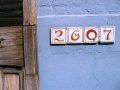 IMG_7959_b 