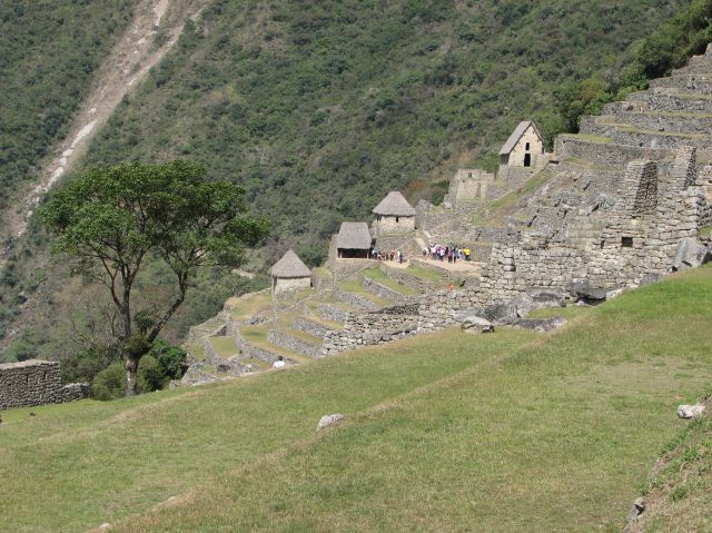 IMG_2050 