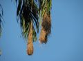 IMG_1546 