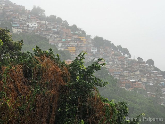 P1012881-2.JPG