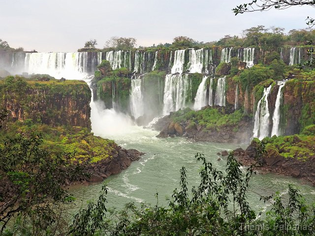 P1013200-2.JPG