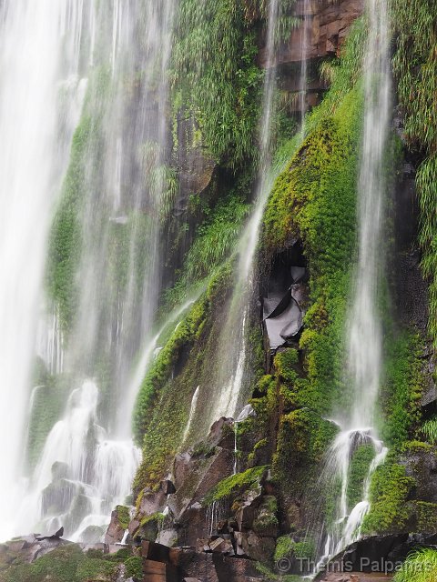 P1013246-2.JPG