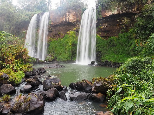 P1013279-2.JPG