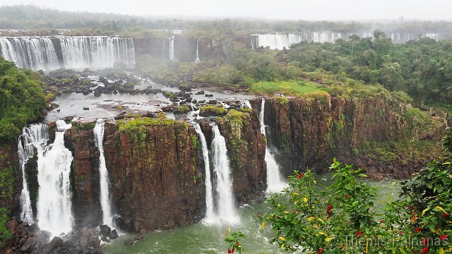 P1013468-2.JPG