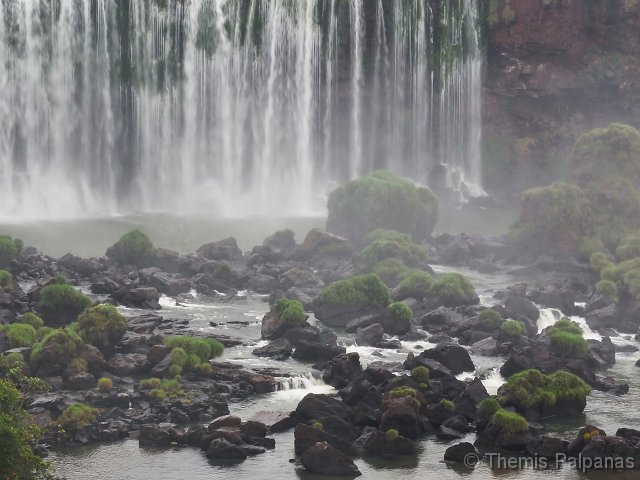 P1013483-2.JPG
