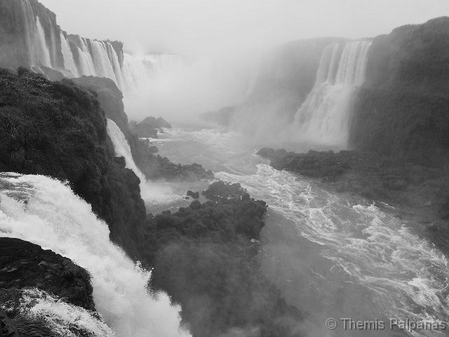 P1013492-2.JPG
