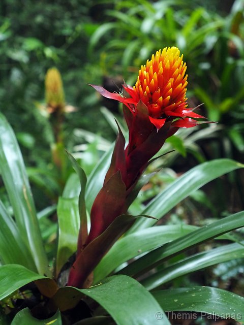 P1013664-2.JPG
