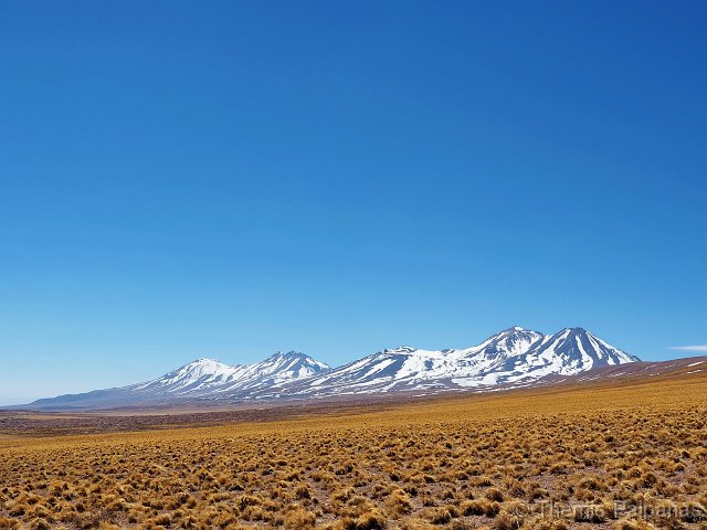 P1016000-2.JPG