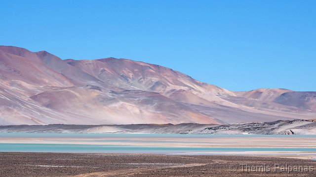 P1016067-2.JPG