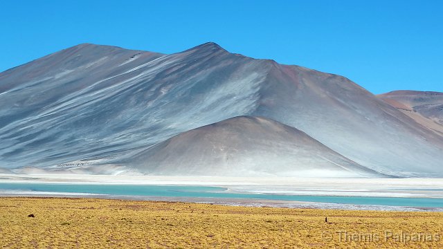 P1016076-3.JPG