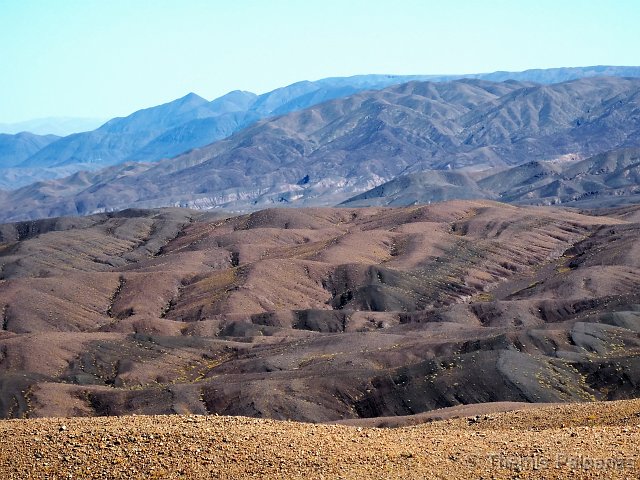 P1016665-2.JPG