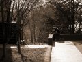 IMG_9298-4 