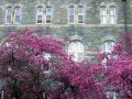 IMG_9312-2 