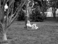 IMG_9322-5 
