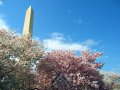 IMG_9019-2 