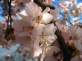 IMG_9056 