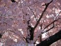 IMG_9125-2 