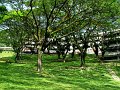 IMG_5603-2