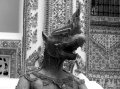 IMG_0823-2 