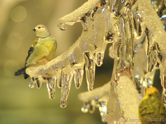 IMG_3883-2.jpg