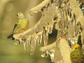 IMG_3883-2