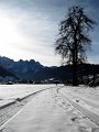 IMG_4471-2