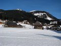 IMG_4494-2