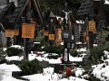 IMG_4856-2