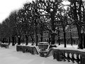IMG_4295-2