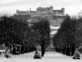 IMG_4309-2