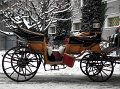 IMG_4437-2