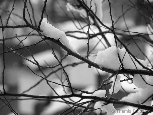 IMG_4405-2.jpg
