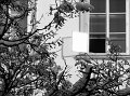 IMG_4315-2