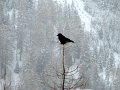 IMG_3776-2