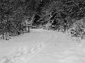 IMG_4508-2