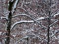 IMG_4523-2