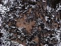 IMG_4905-2