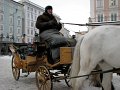IMG_4436-2