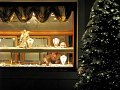 IMG_4448-2